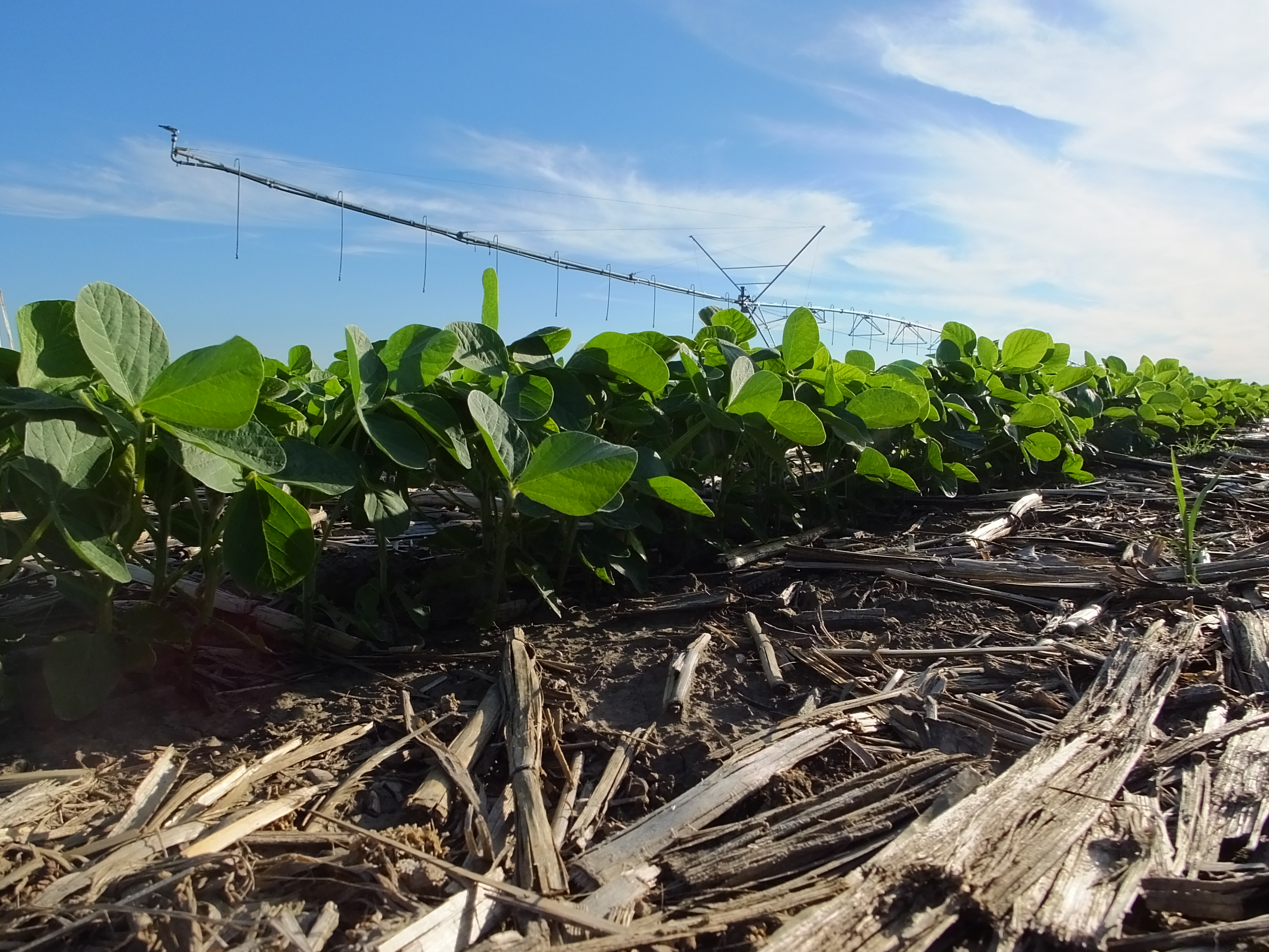 Farm Bill Expiration Impacts on Conservation