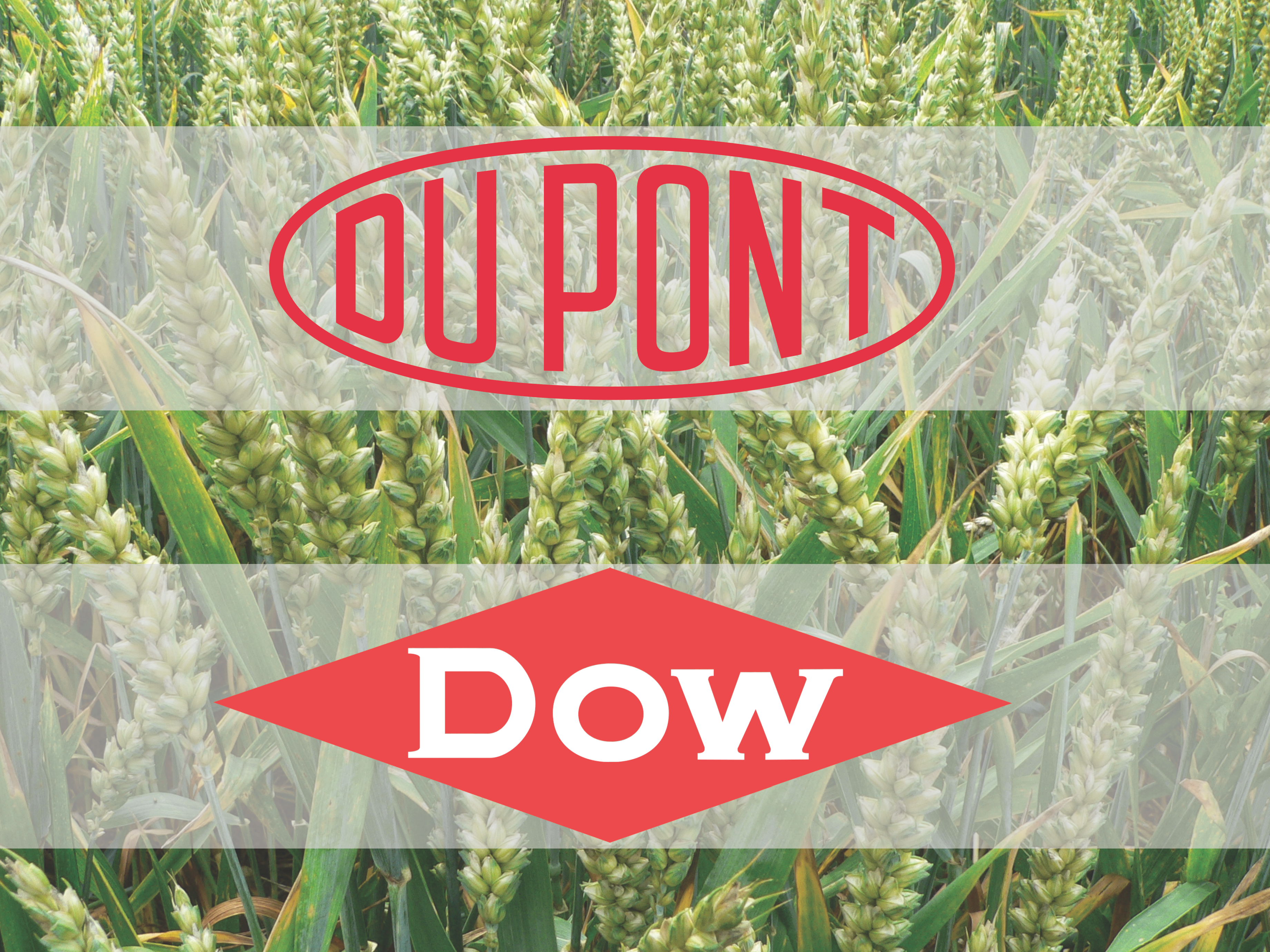 NFU Condemns Trump Administration Approval of Dow-DuPont