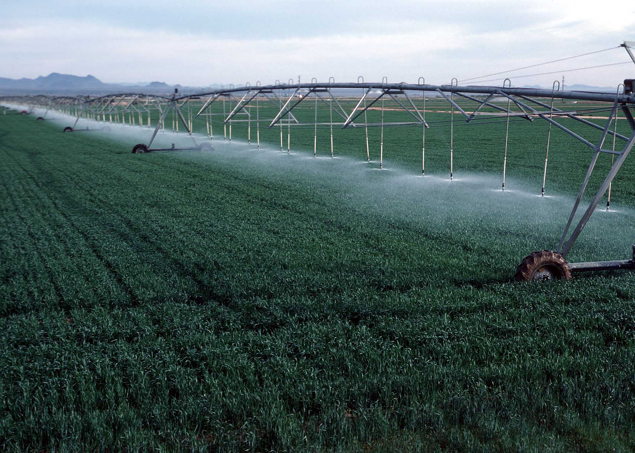 What Should Farmers Know About Climate Change? Irrigation Water Management