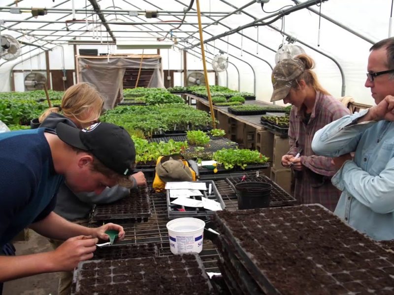 How Some Cooperatives Are Helping Farmers to Manage Produce Safety How Some Cooperatives Are Helping Farmers to Manage Produce Safety