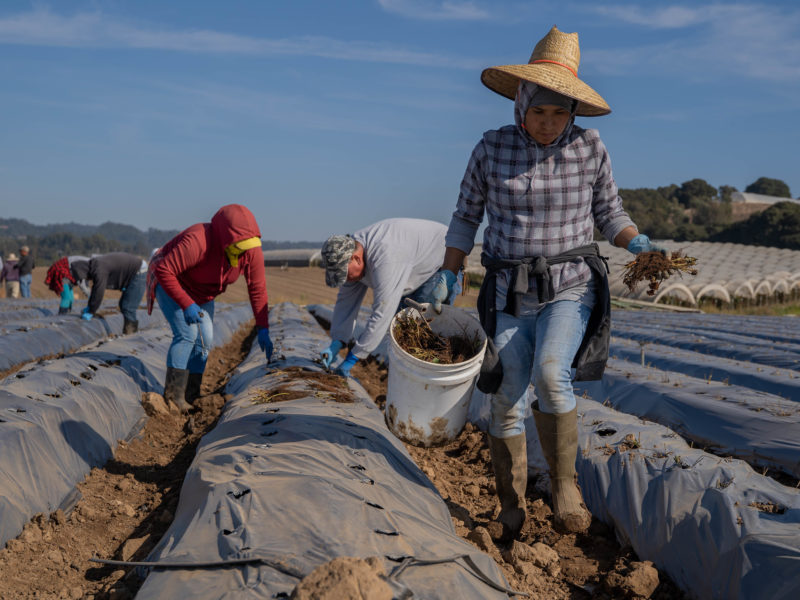 NFU Applauds Passage of Farm Workforce Modernization Act NFU Applauds Passage of Farm Workforce Modernization Act
