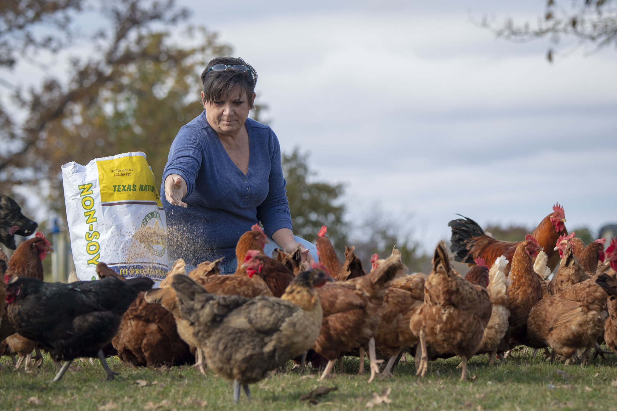 Proposed Rule Undermines Packers and Stockyards Act, Fails to Provide Needed Protections to Farmer Proposed Rule Undermines Packers and Stockyards Act, Fails to Provide Needed Protections to Farmer