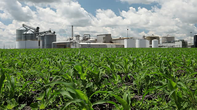 Absence of RVOs Another Disappointment for Farmers, Biofuel Producers Absence of RVOs Another Disappointment for Farmers, Biofuel Producers