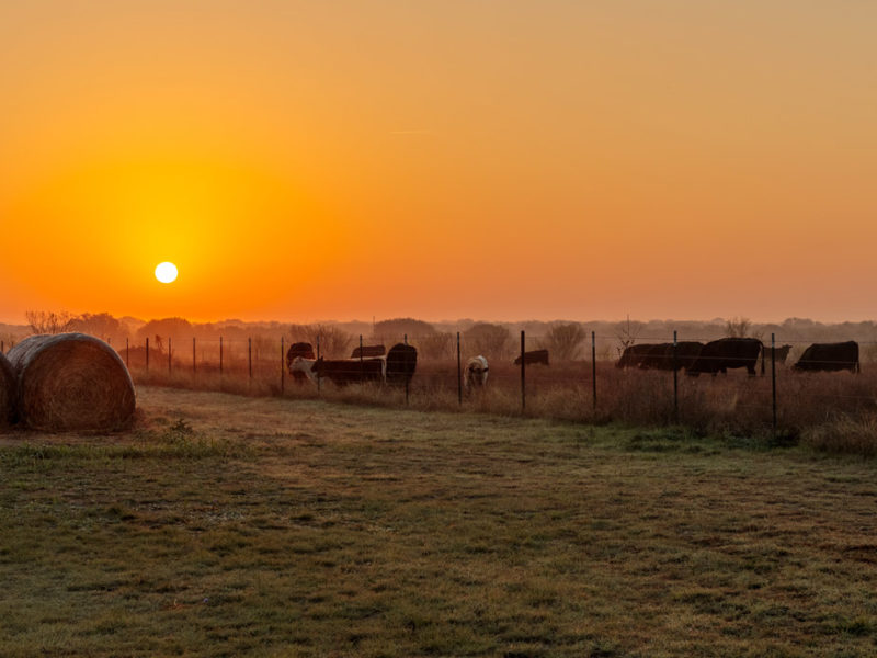 NFU Announces Campaign to Fight Monopolies in Agriculture NFU Announces Campaign to Fight Monopolies in Agriculture